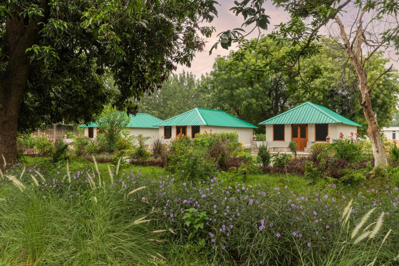Zana Luxury Forest Resort, Ranthambore Sawai Madhopur Exteriör bild