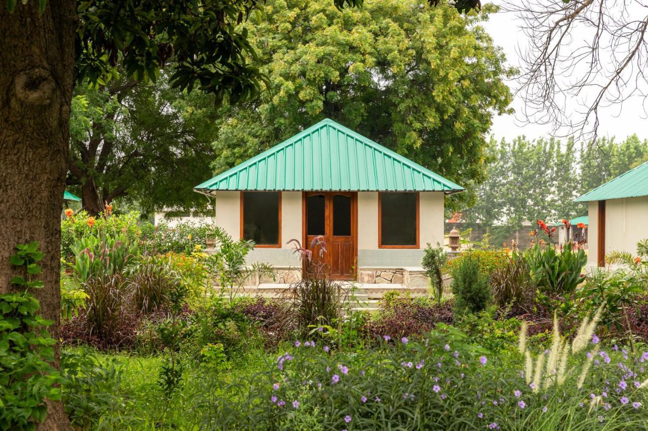 Zana Luxury Forest Resort, Ranthambore Sawai Madhopur Exteriör bild