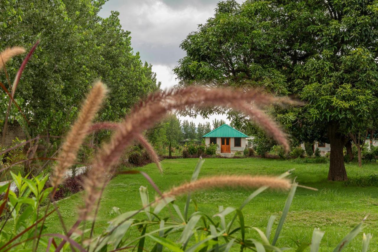 Zana Luxury Forest Resort, Ranthambore Sawai Madhopur Exteriör bild