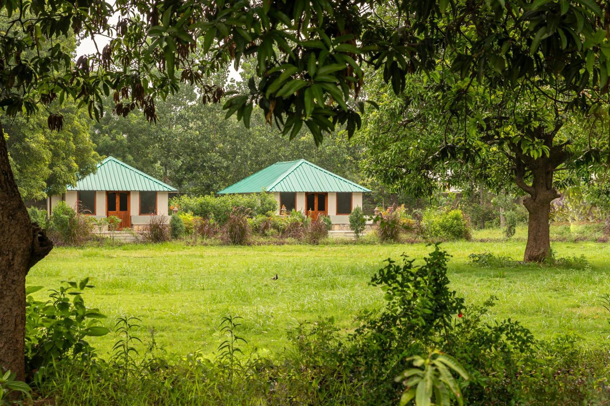 Zana Luxury Forest Resort, Ranthambore Sawai Madhopur Exteriör bild